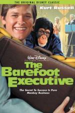 Watch The Barefoot Executive Megavideo