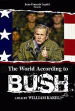 Watch The World According to Bush Megavideo