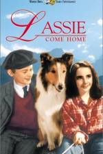 Watch Lassie Come Home Megavideo