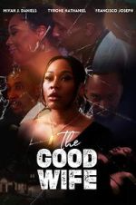 Watch The Good Wife Megavideo