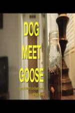 Watch Dog Meet Goose Megavideo