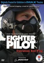 Watch Fighter Pilot: Operation Red Flag Megavideo