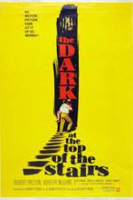 Watch The Dark at the Top of the Stairs Megavideo