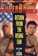 Watch WCW SuperBrawl I Megavideo