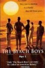 Watch The Beach Boys An American Family Megavideo