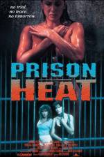 Watch Prison Heat Megavideo