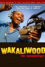 Watch Wakaliwood: The Documentary Megavideo