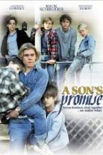 Watch A Son's Promise Megavideo
