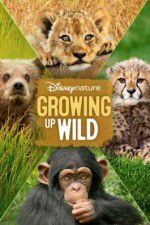 Watch Growing Up Wild Megavideo