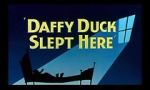 Watch Daffy Duck Slept Here (Short 1948) Megavideo