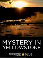 Watch Mystery in Yellowstone Megavideo