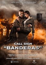 Watch Call Sign Banderas Megavideo