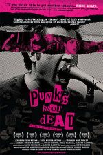 Watch Punk's Not Dead Megavideo