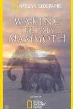 Watch Waking the Baby Mammoth Megavideo