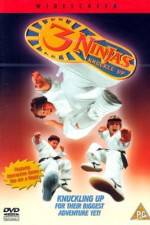 Watch 3 Ninjas Knuckle Up Megavideo