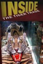 Watch Inside: The Tiger Trade Megavideo