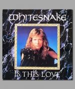 Watch Whitesnake: Is This Love Megavideo
