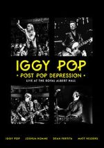 Watch Iggy Pop: Post Pop Depression Megavideo