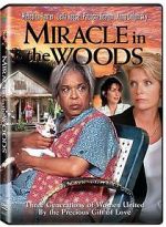 Watch Miracle in the Woods Megavideo