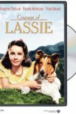 Watch Courage of Lassie Megavideo