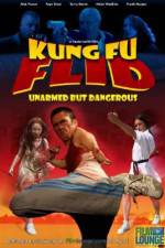 Watch Kung Fu Flid Megavideo