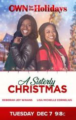 Watch A Sisterly Christmas Megavideo