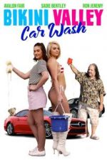 Watch Bikini Valley Car Wash Megavideo