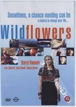 Watch Wildflowers Megavideo