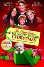 Watch The Night Before the Night Before Christmas Megavideo