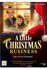 Watch A Little Christmas Business Megavideo