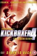 Watch Kickboxer 4: The Aggressor Megavideo