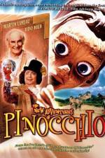 Watch The New Adventures of Pinocchio Megavideo