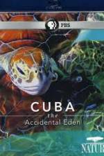 Watch Cuba: The Accidental Eden Megavideo