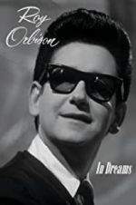 Watch In Dreams: The Roy Orbison Story Megavideo