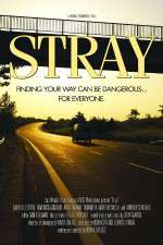 Watch Stray Megavideo