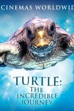 Watch Turtle The Incredible Journey Megavideo