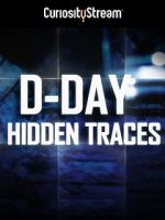 Watch D-Day: Hidden Traces Megavideo