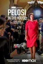 Watch Pelosi in the House Megavideo