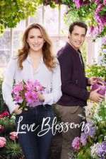 Watch Love Blossoms Megavideo