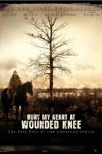 Watch Bury My Heart at Wounded Knee Megavideo