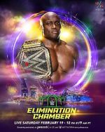 Watch WWE Elimination Chamber (TV Special 2022) Megavideo