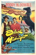 Watch Black Midnight Megavideo