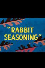 Watch Rabbit Seasoning Megavideo