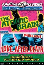 Watch Love After Death Megavideo