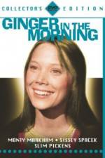 Watch Ginger in the Morning Megavideo