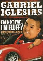 Watch Gabriel Iglesias: I\'m Not Fat... I\'m Fluffy Megavideo