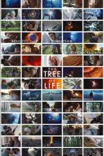 Watch The Tree of Life Megavideo