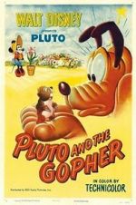 Watch Pluto and the Gopher Megavideo