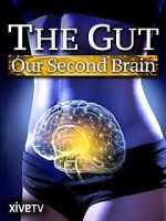 Watch The Gut: Our Second Brain Megavideo