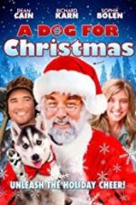 Watch A Dog for Christmas Megavideo